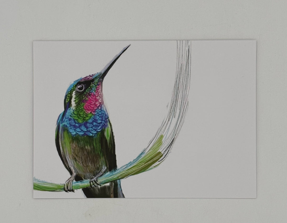 Brazilian Ruby Hummingbird