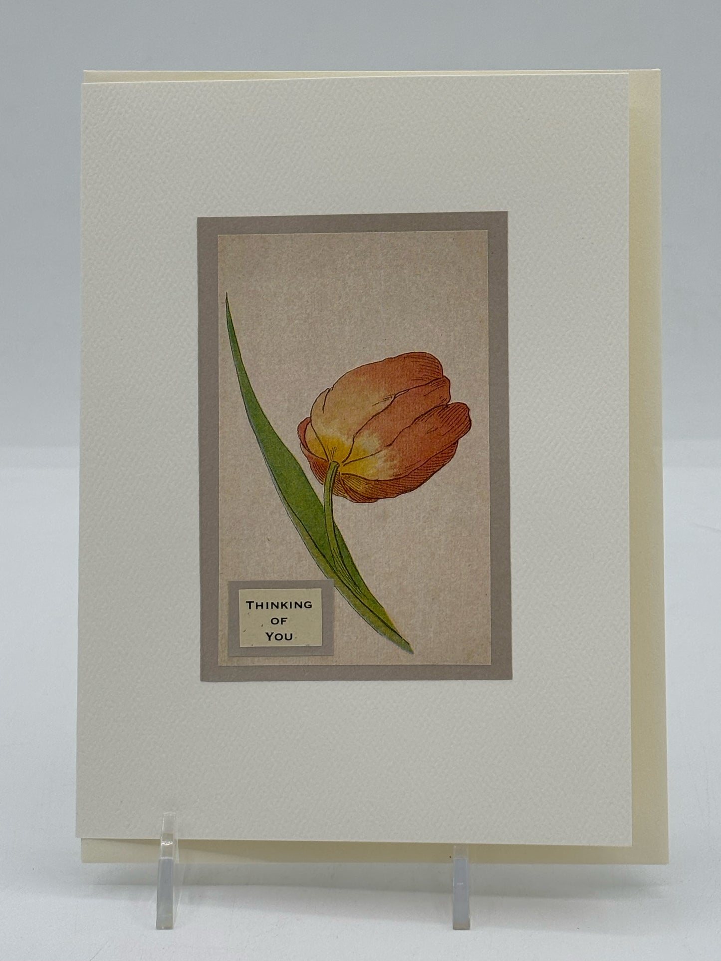 Tuilp Thinking Of You Card