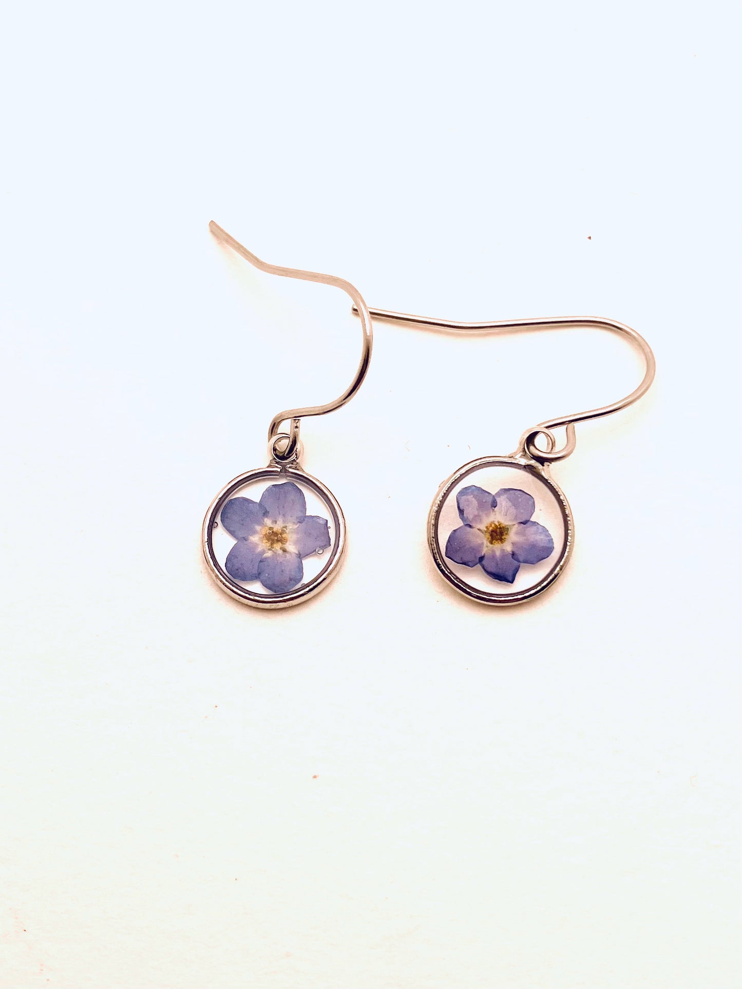 Dried Pressd Flower Earrings, Round, Forget-Me-Nots