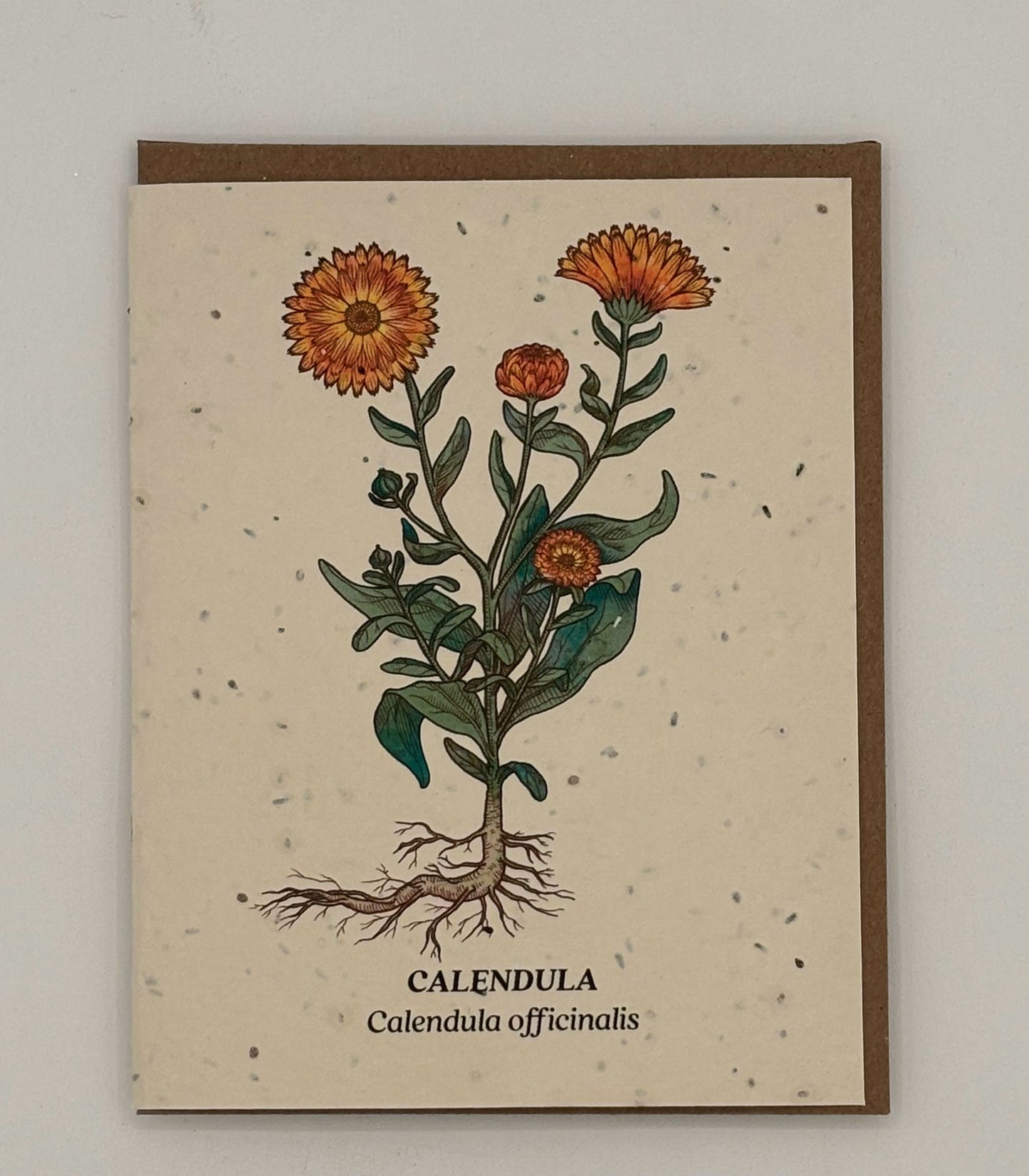 Calendula Plantable Wildflower Seed Card