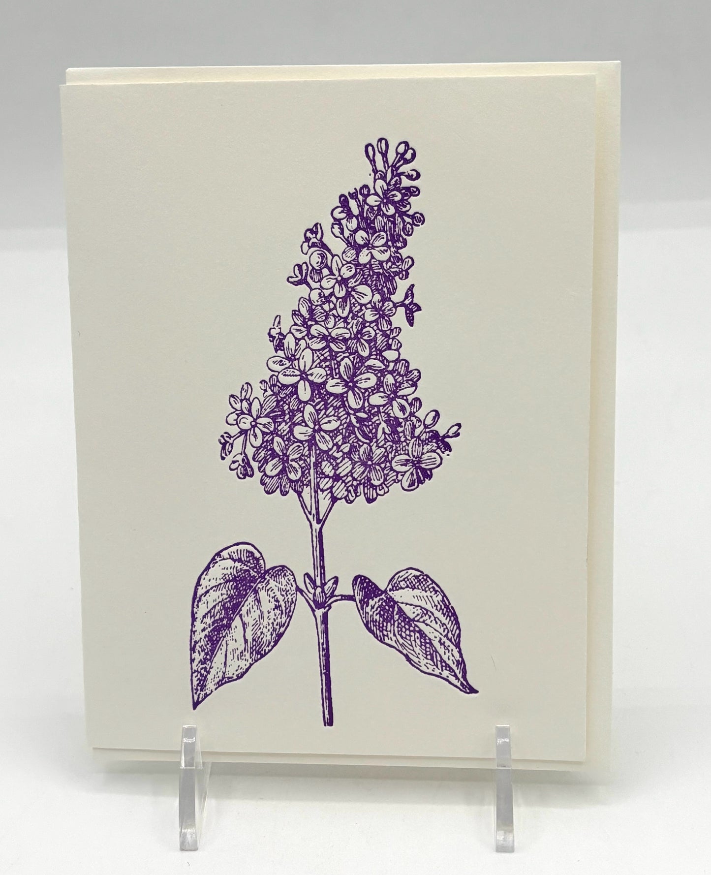 Lilac Stem Card