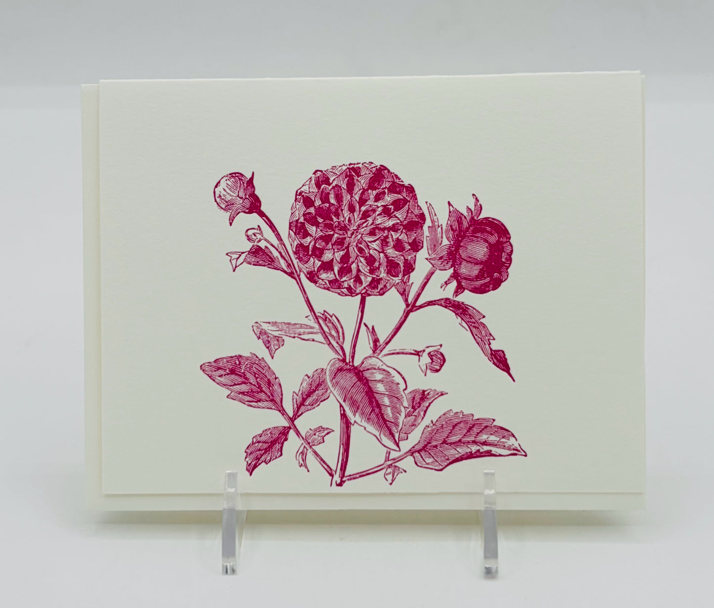 Purple Dahlia Card