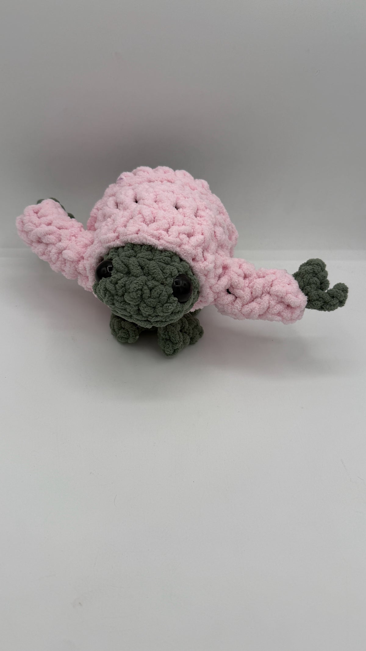 Frog with sweater