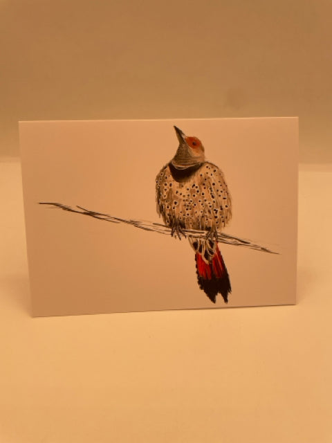 Northern Flicker Card
