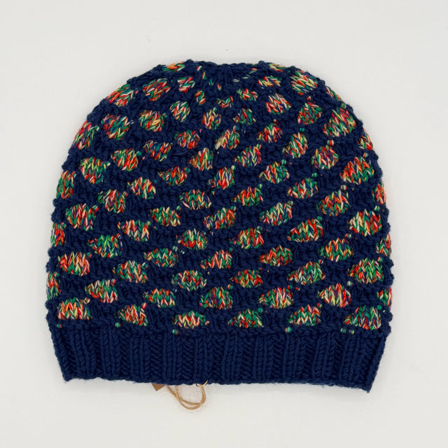 M/L Blue and Mulit Color Merino Trellis Knit Hat