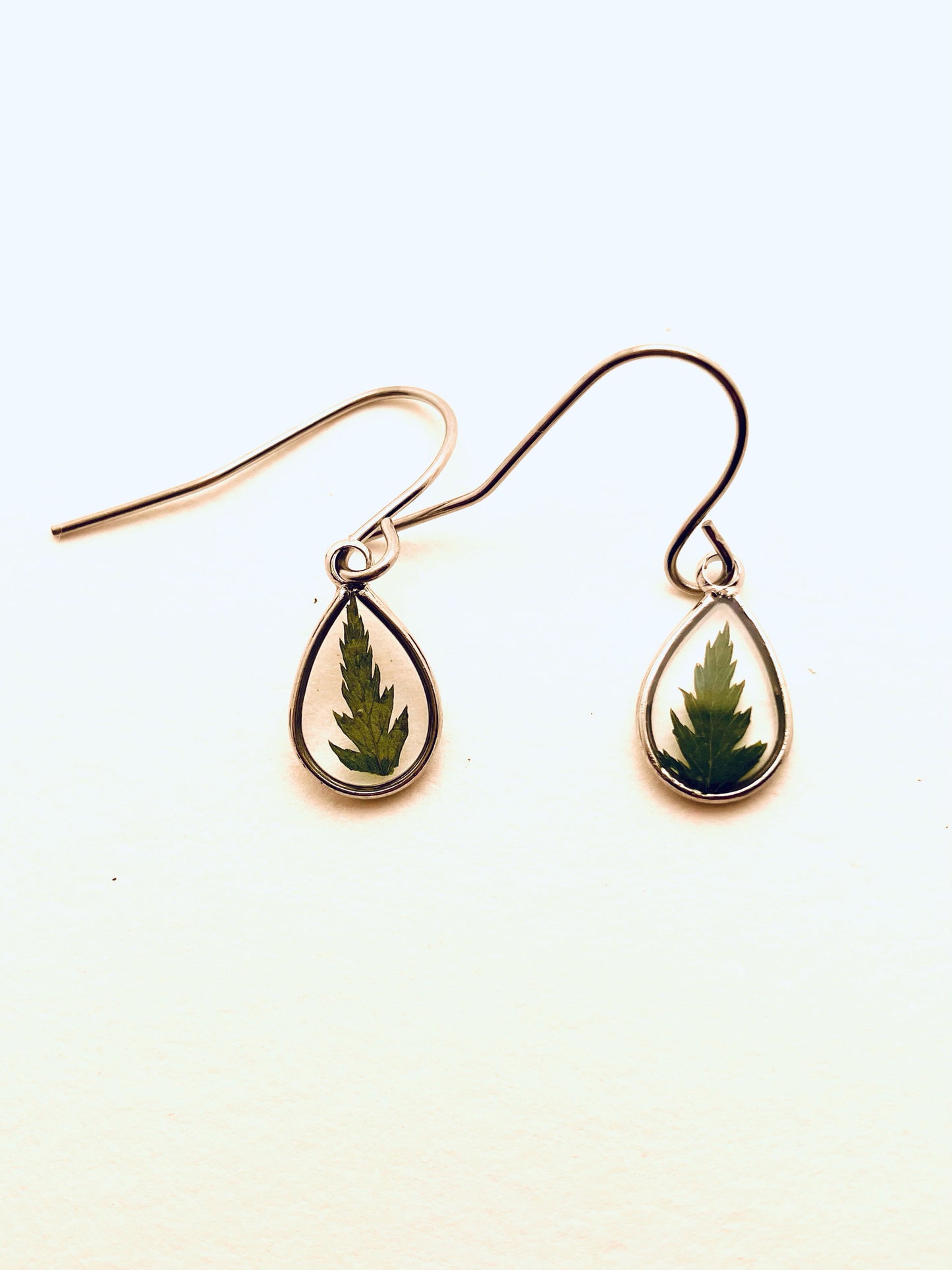 Oval, Dried Pressed Ferns Earrings
