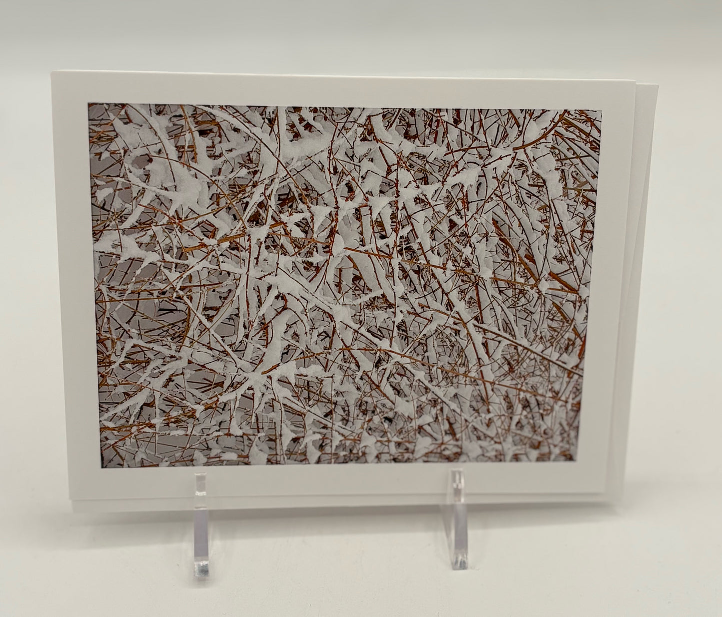 Central Park Snow Cover Boxed Cards