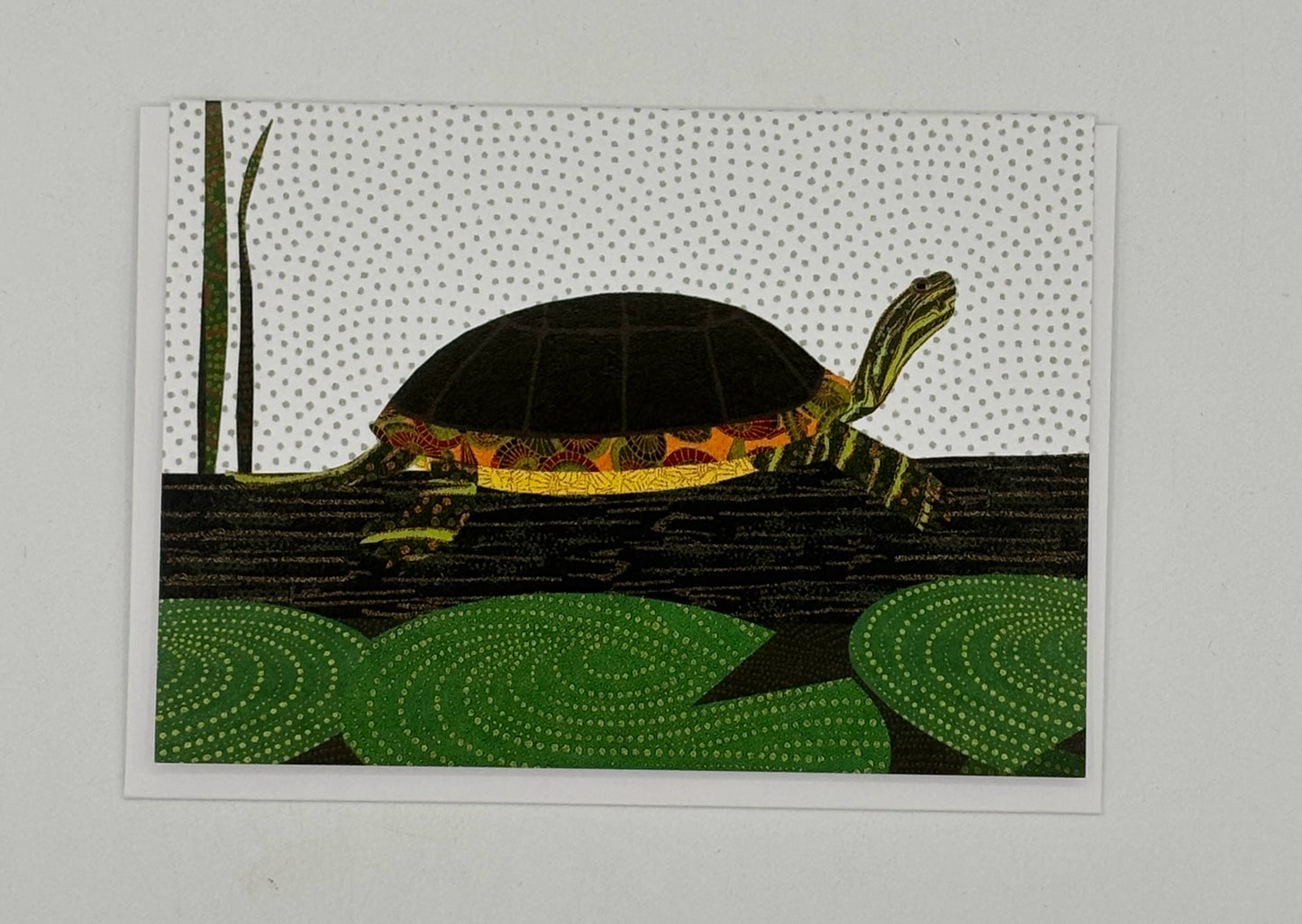 Painted Turtle Card