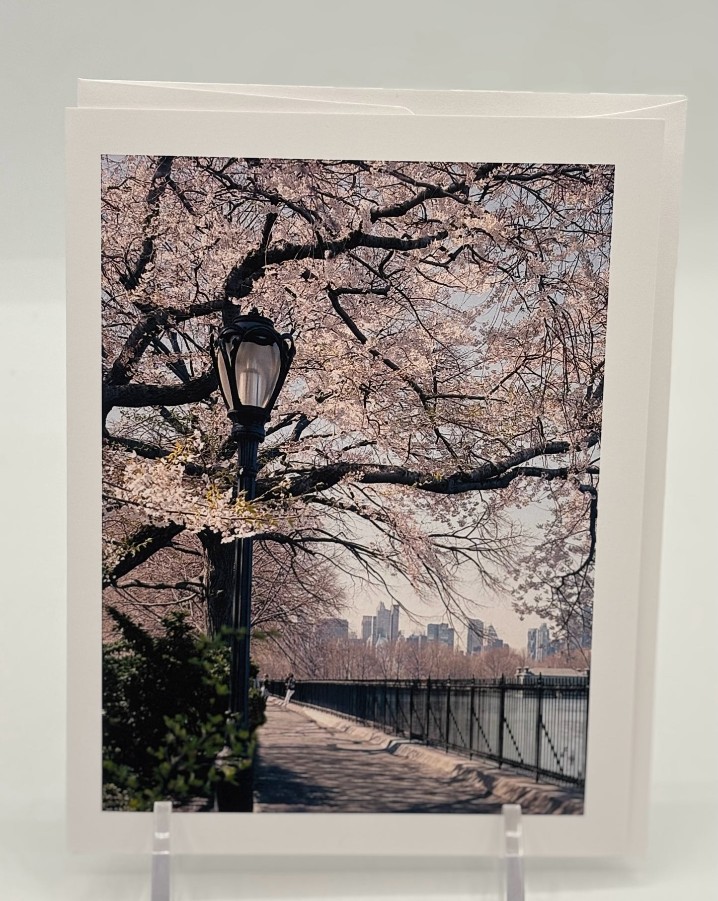 Central Park Cherry Blossoms Boxed Cards