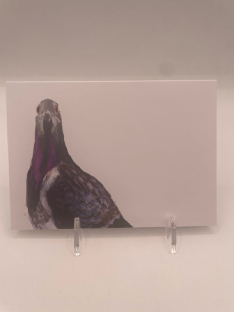 Rock Pigeon Card