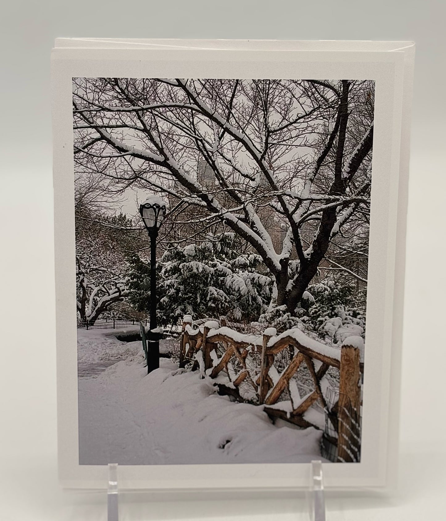 Central Park Snow Storm And Wooden Fence Boxed Cards