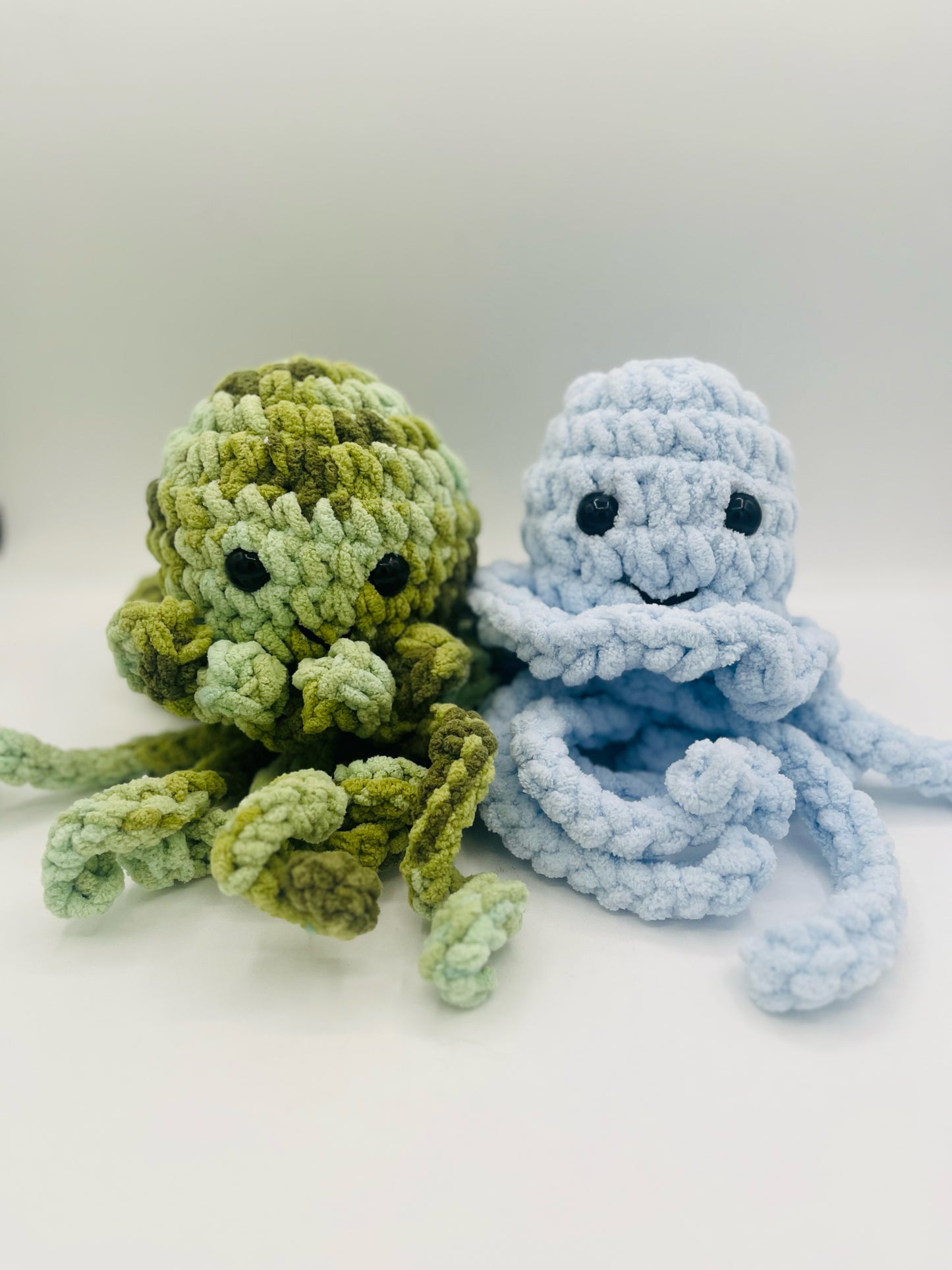 Jellyfish