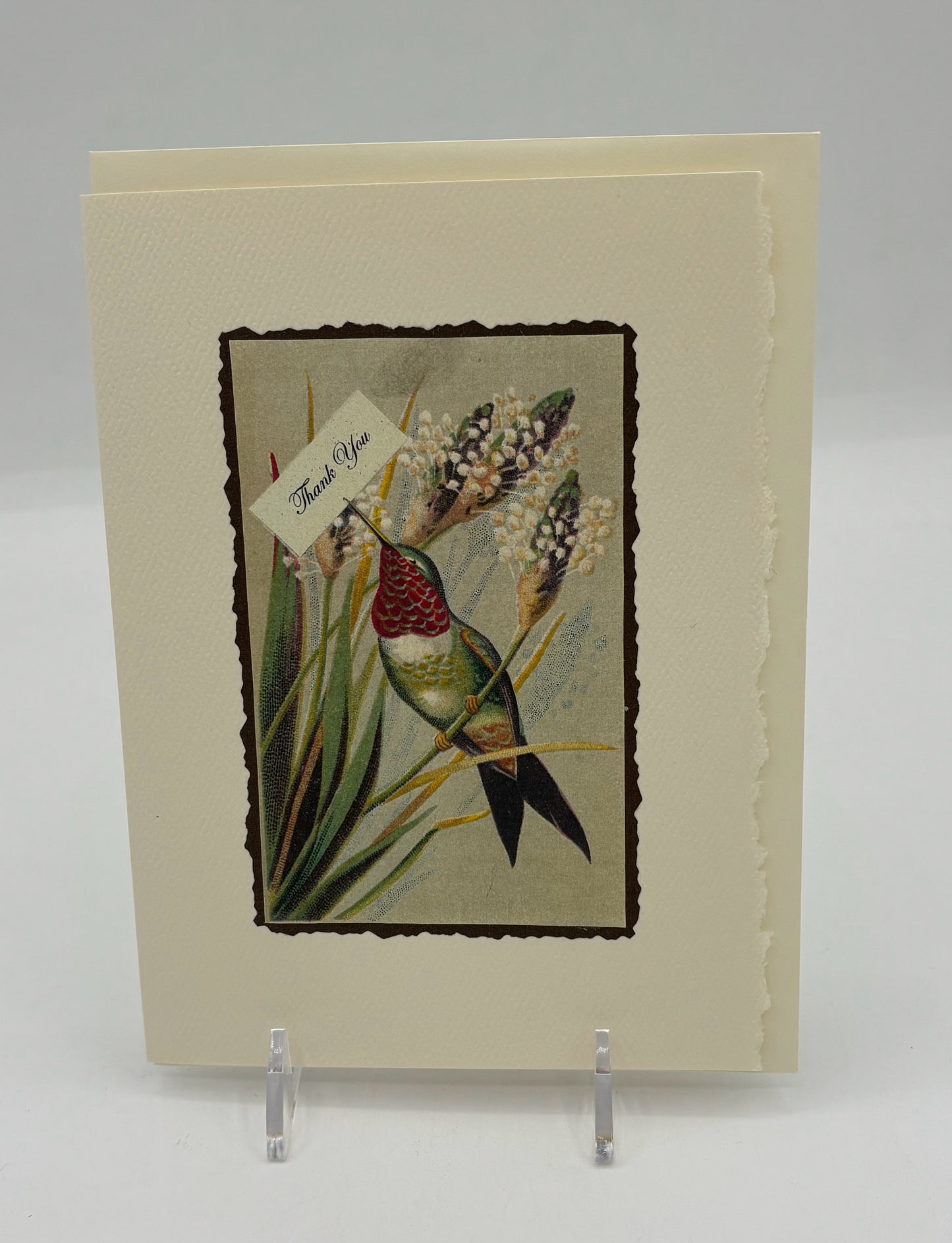 Hummingbird Thank You Card