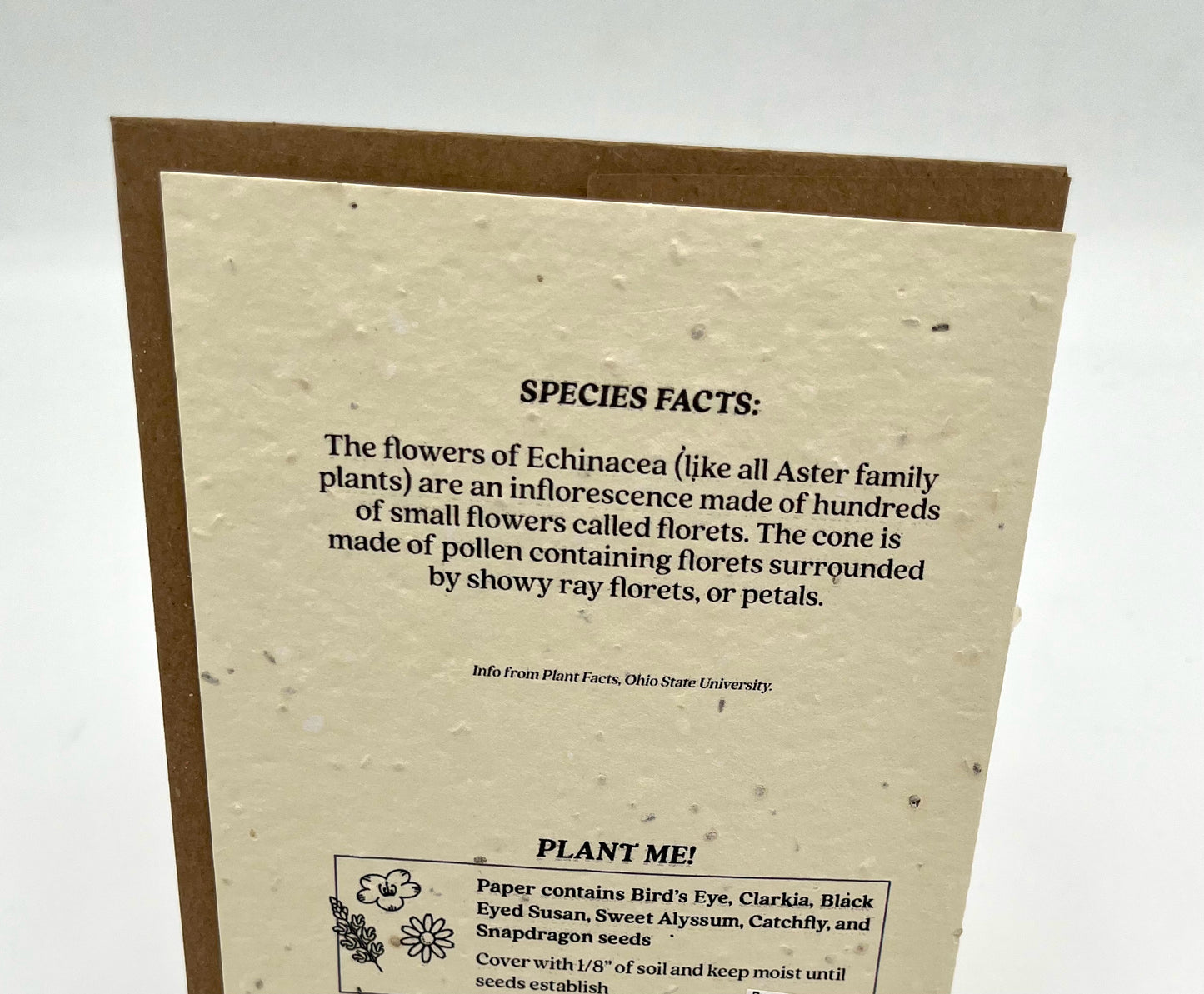 Echinacea Plantable Wildfower Seed Card
