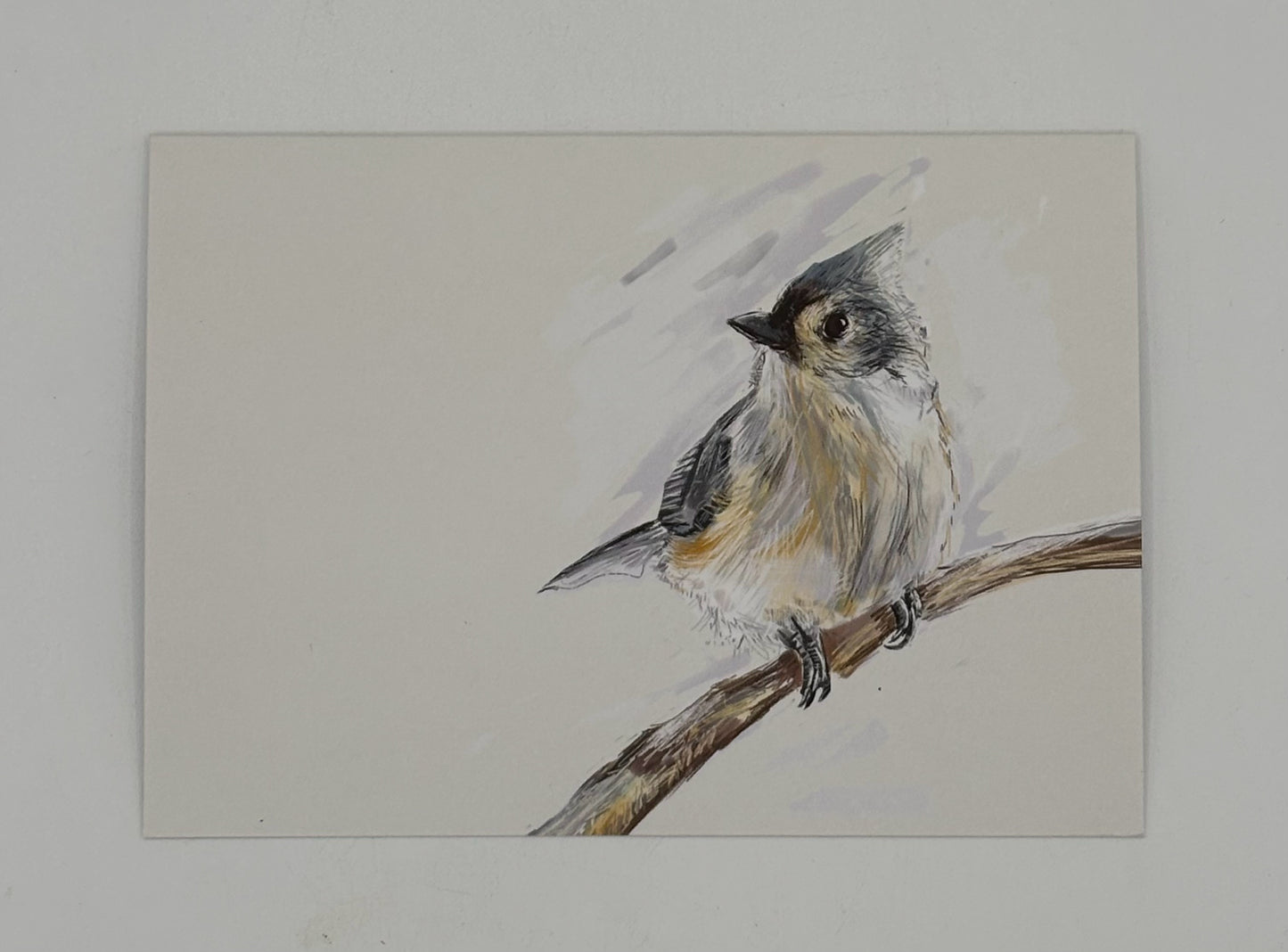 Tufted Titmouse Card
