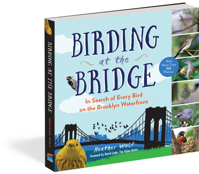 Birding at the Bridge