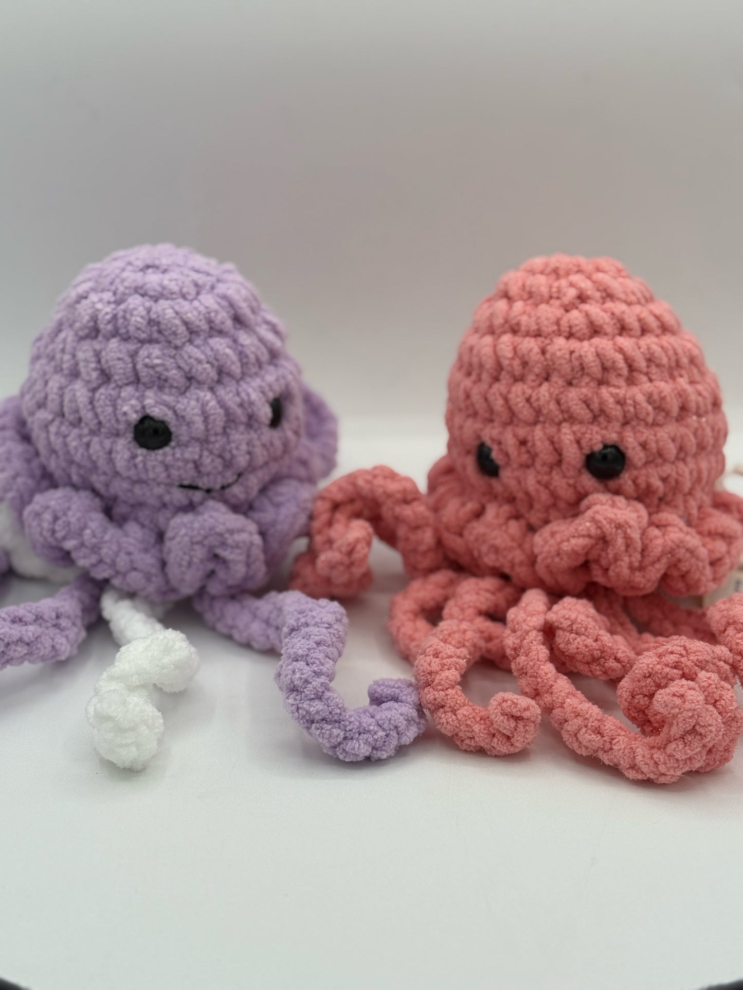 Jellyfish