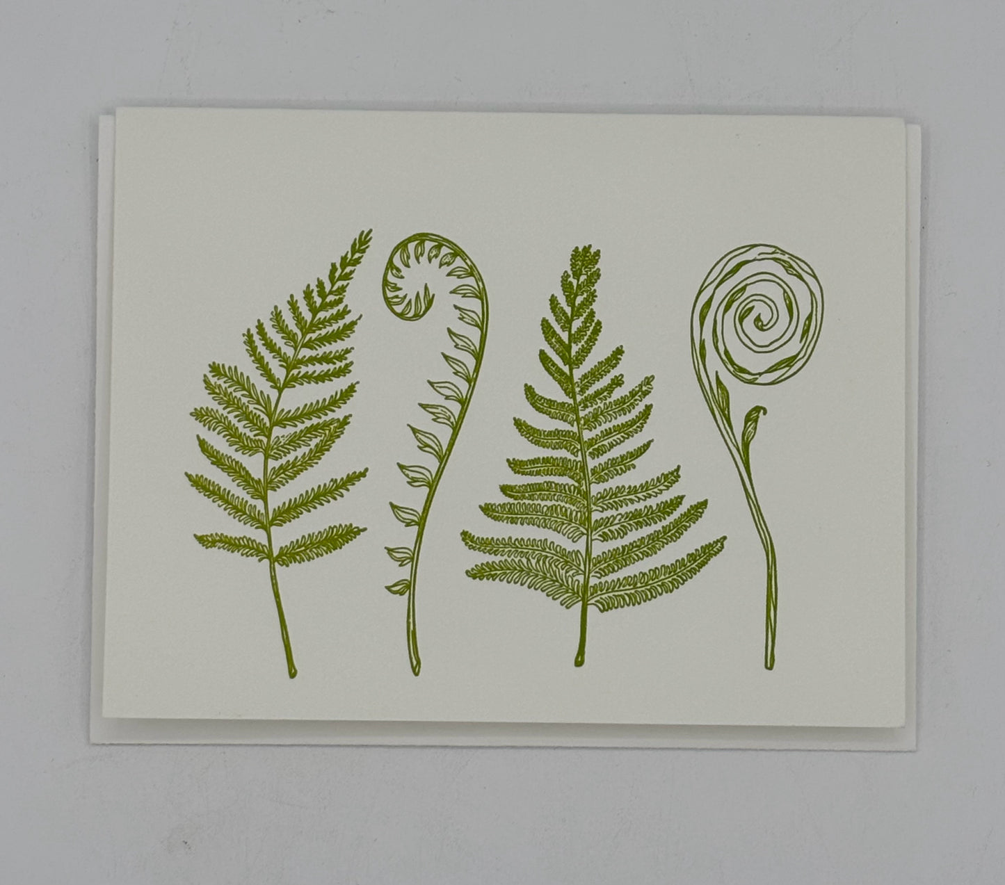 4 Ferns Cards