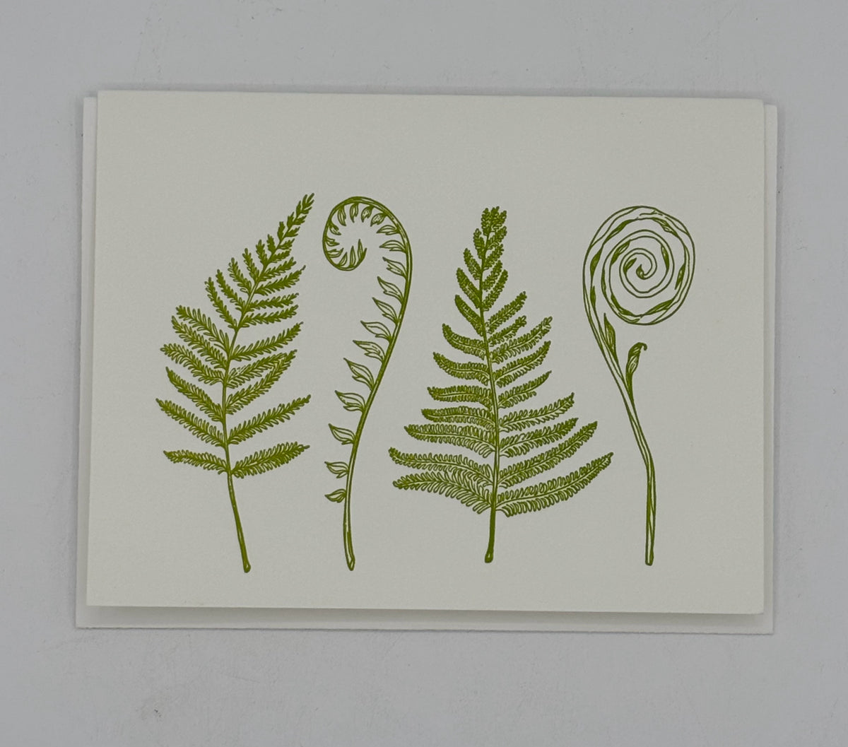 4 Ferns Cards