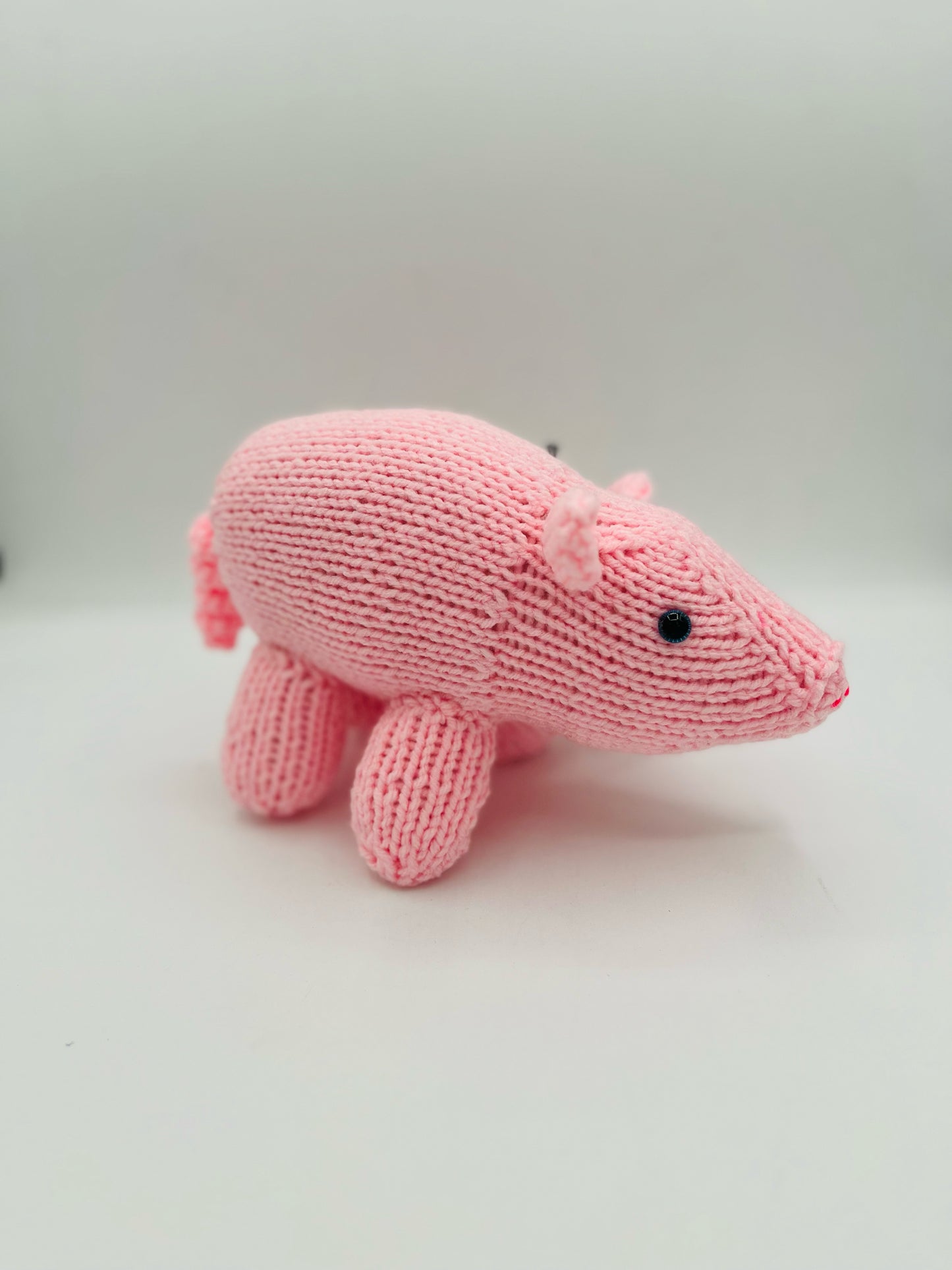 Piggy
