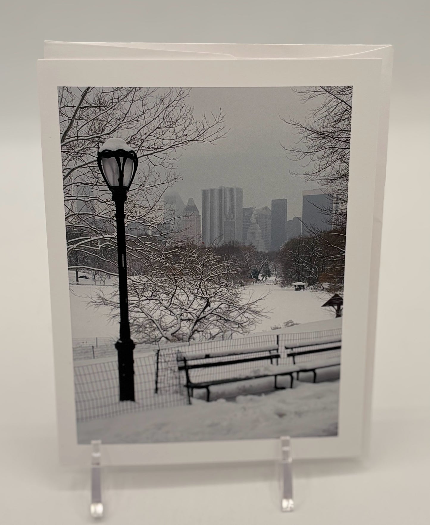 Central Park Snow Storm Boxed Cards