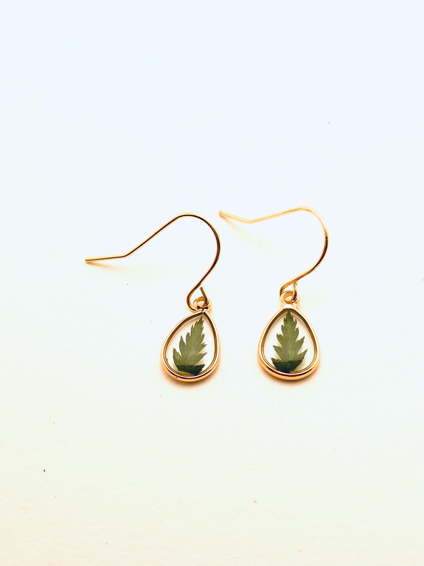 Dried Pressed Flower Earrings, Ferns