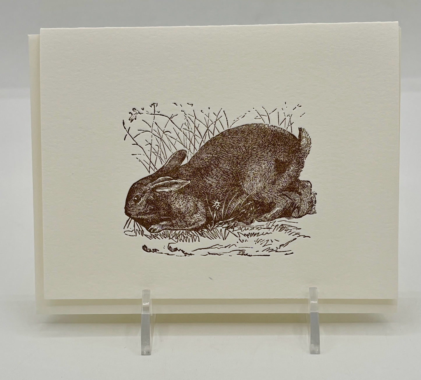 Bunnies Card