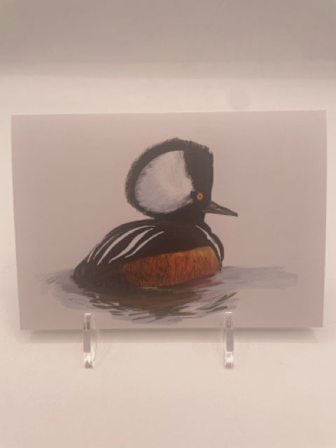 Hooded Merganser Card