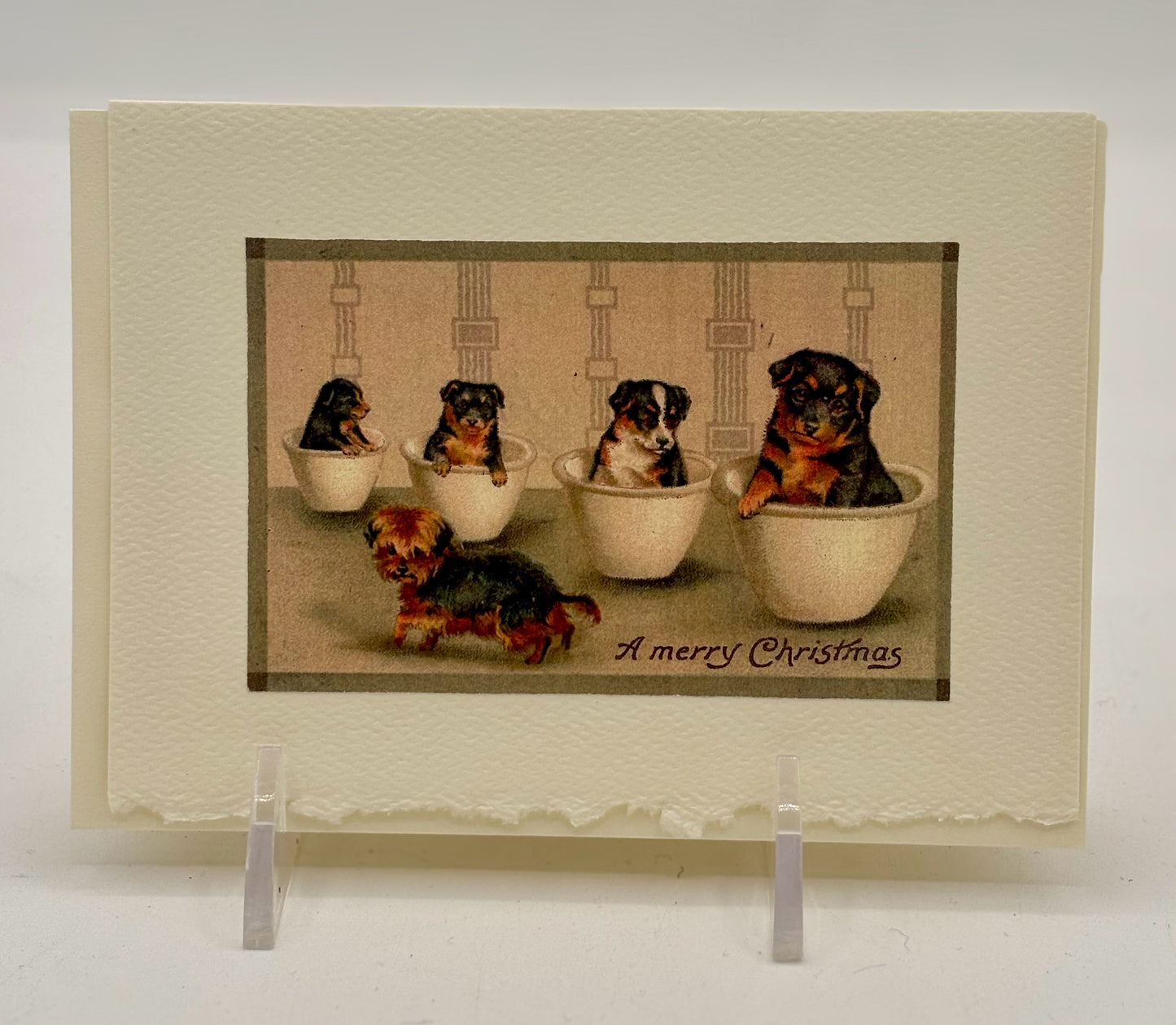 Pups In Cups Christmas Card