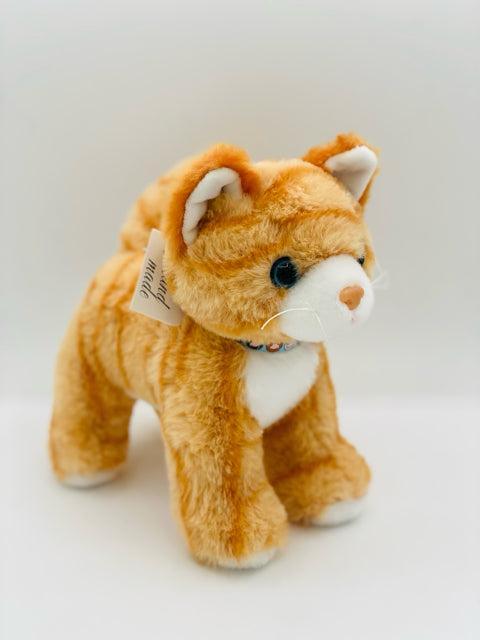 Tabby Kitten