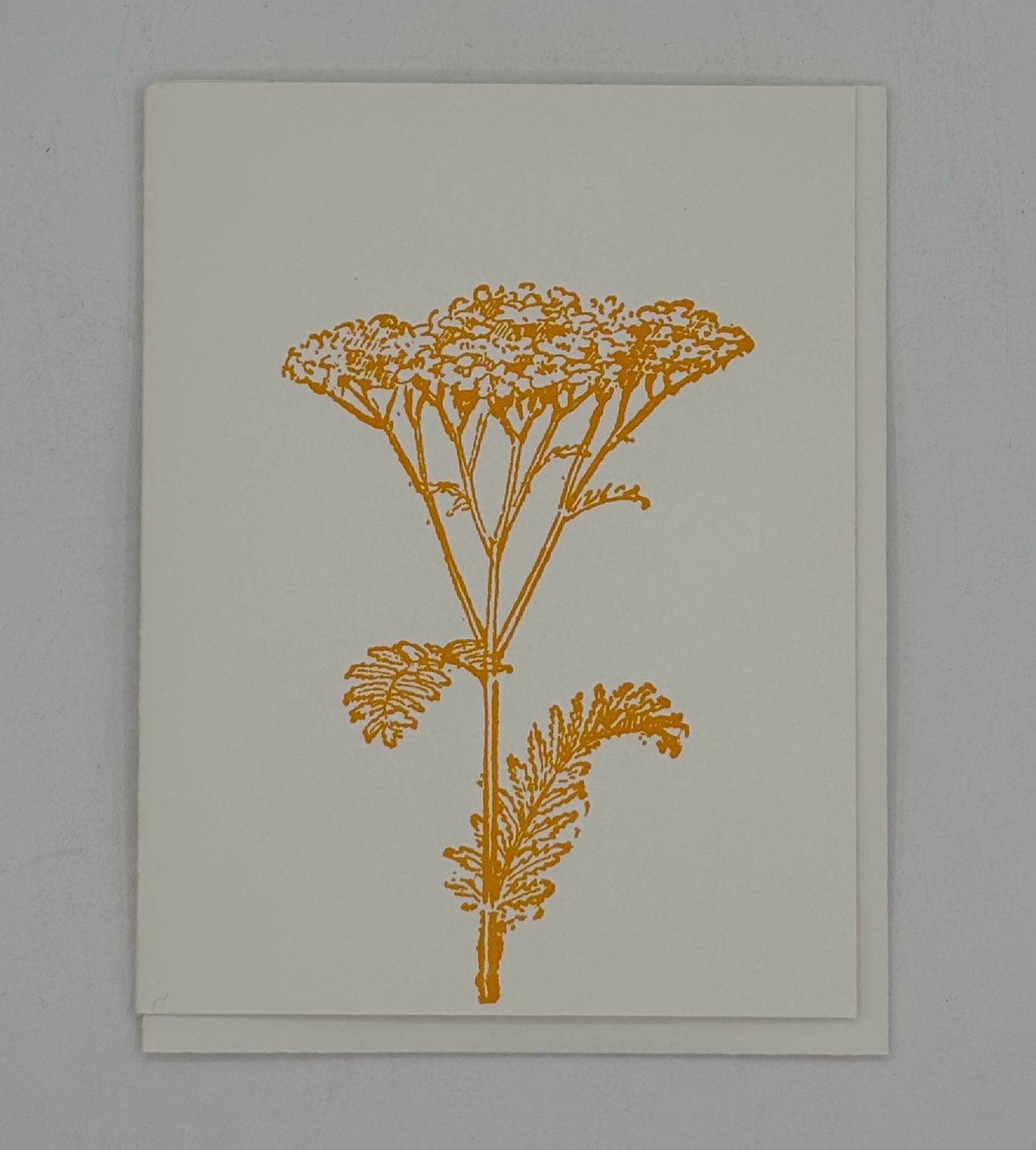 Yellow Yarrow Card
