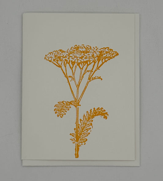 Yellow Yarrow Card
