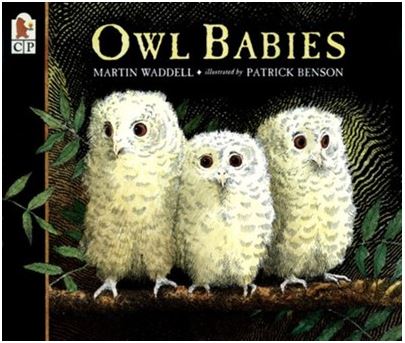 Owl Babies (Softcover)