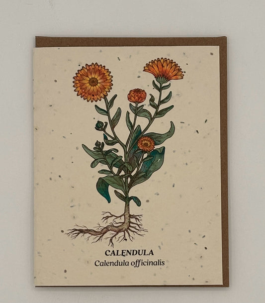 Calendula Plantable Wildflower Seed Card