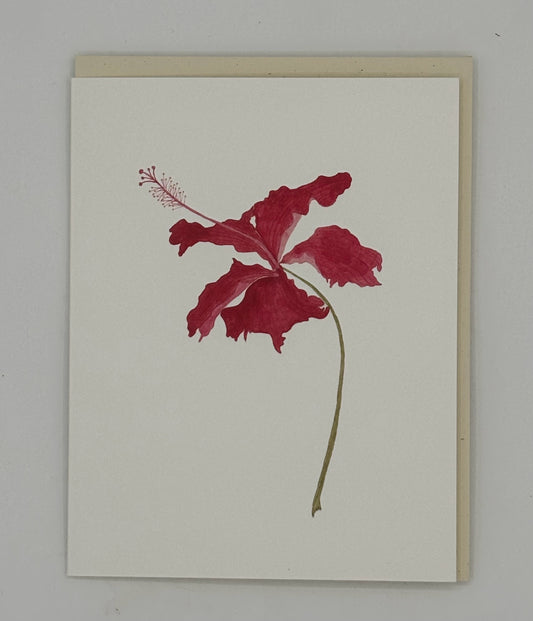 Hibiscus Card