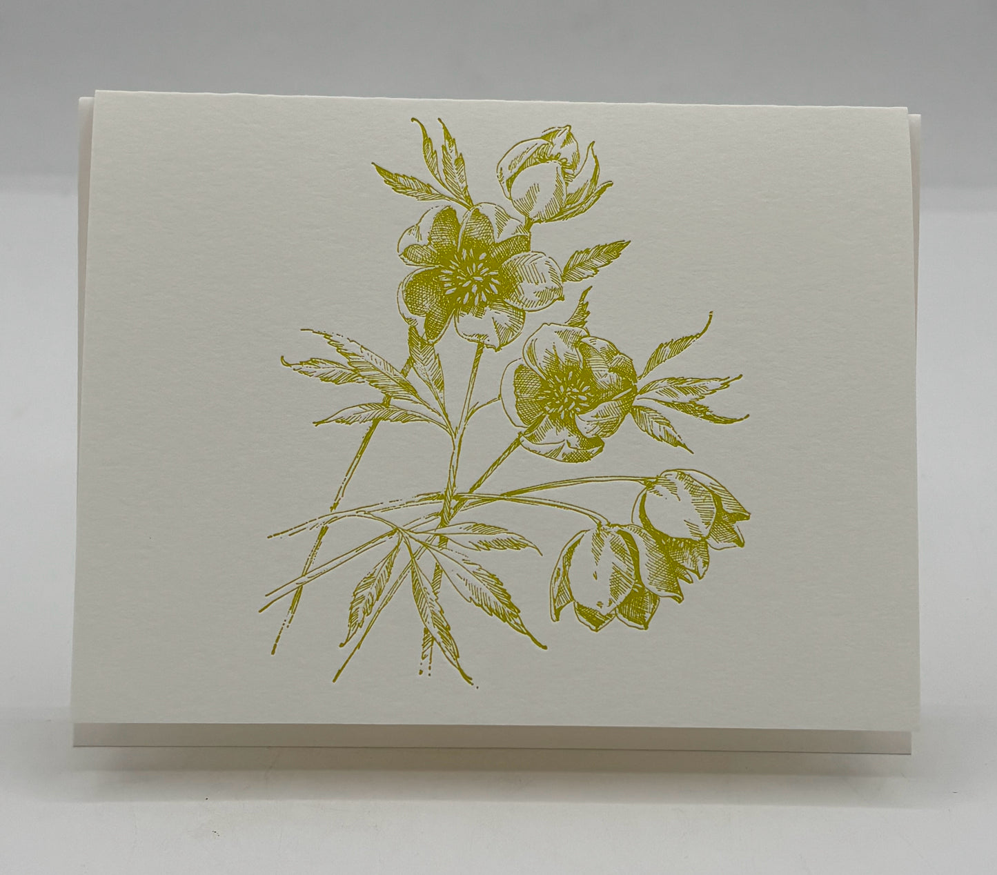Green Hellebores Card