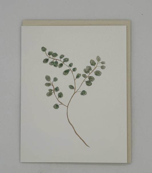 Eucalyptus Card