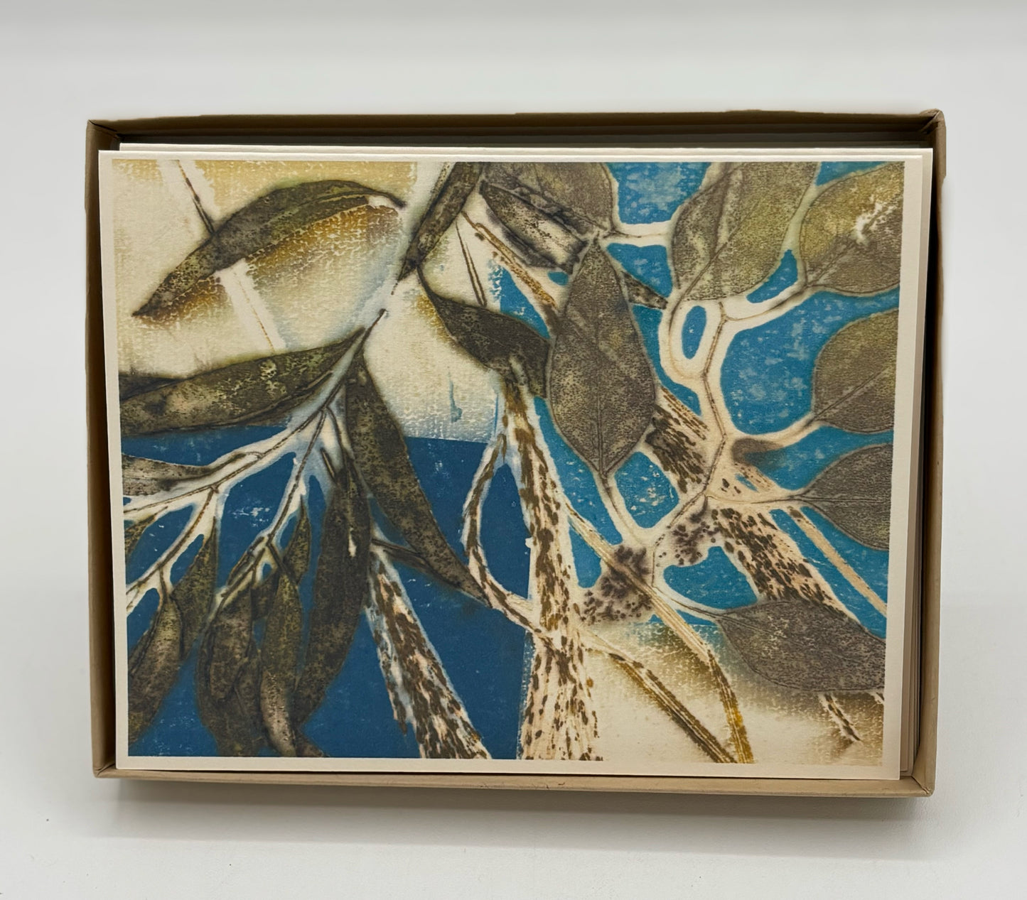 5 Teddy's Garden Boxed Cards and Envelopes