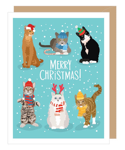 Holiday Cats Christmas Cards