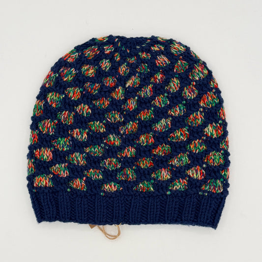 M/L Blue and Mulit Color Merino Trellis Knit Hat
