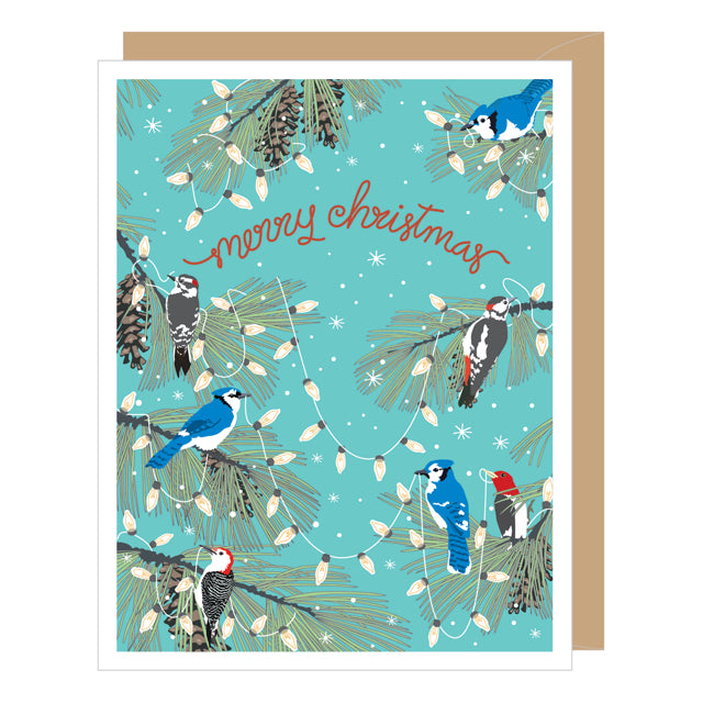 Christmas Woodpeckers And Blue Jays Boxed Christmas Cards