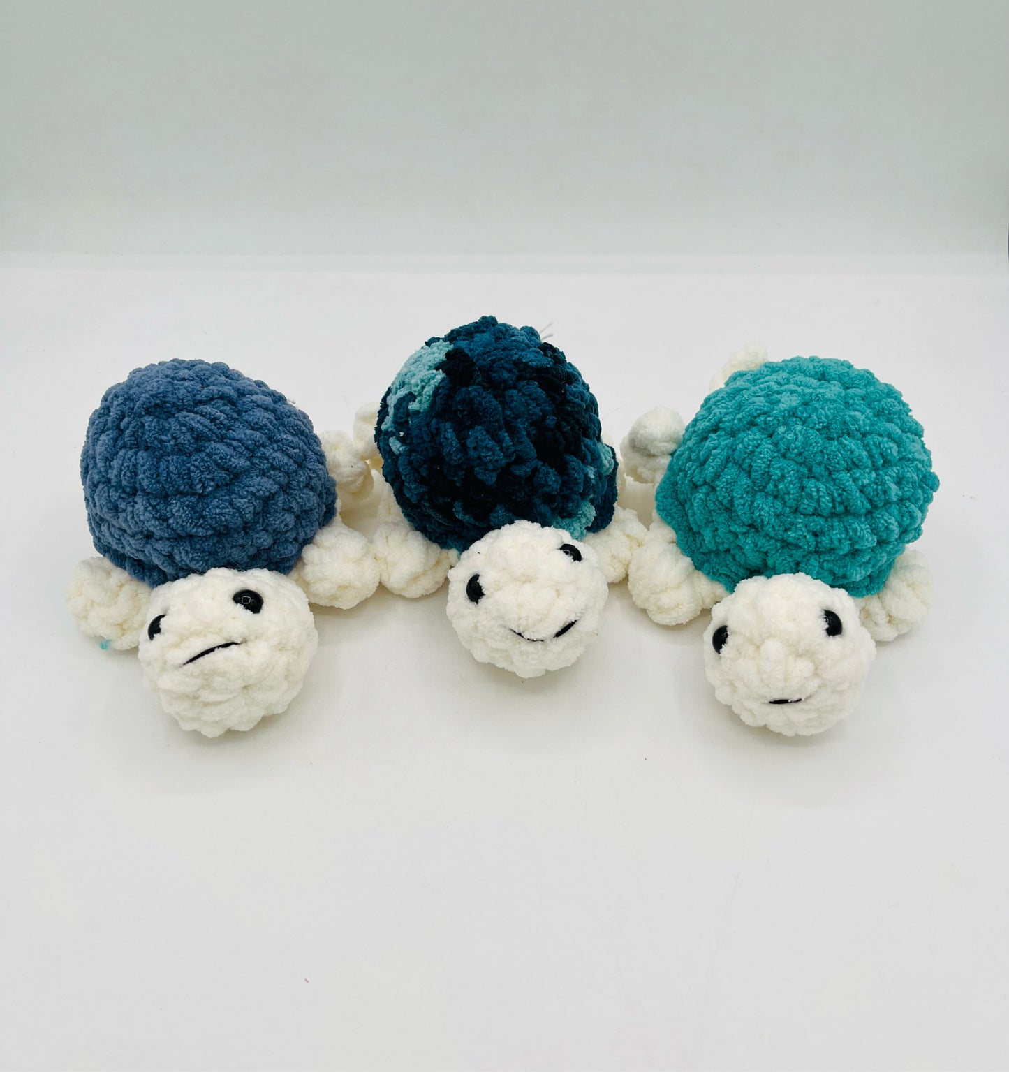 Small Turtle