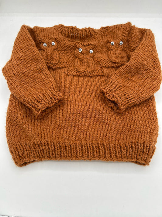 3 - 4 Y - Caramel Owl Sweater