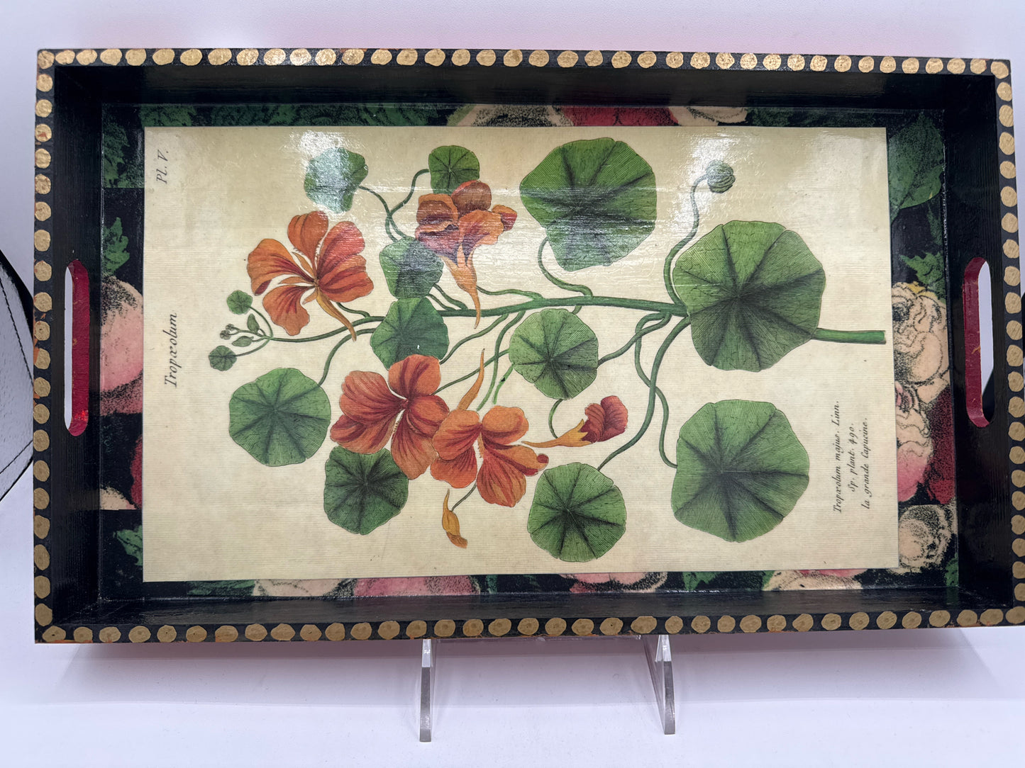 Decoupage Tray with Botanic Design