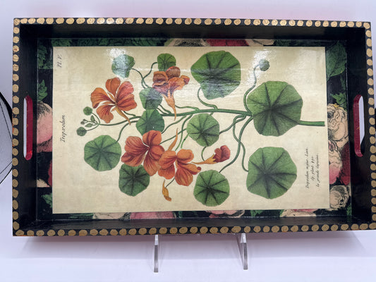 Decoupage Tray with Botanic Design