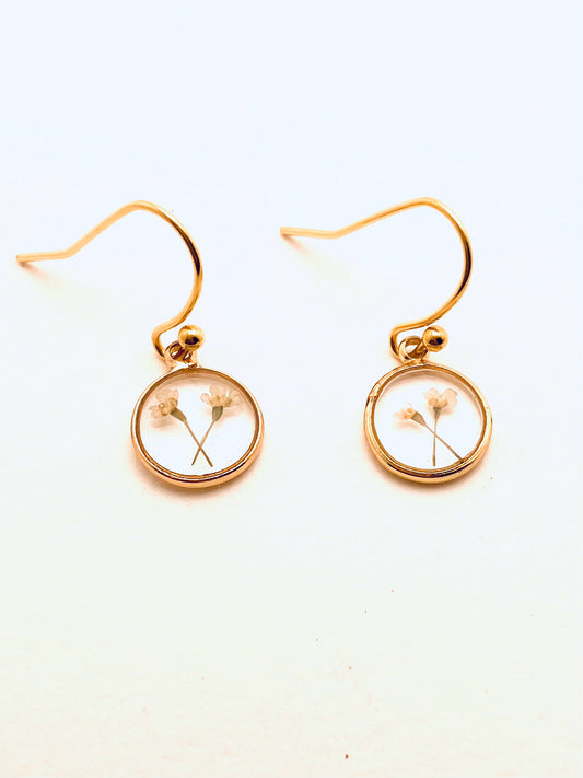 Dried Pressed Flower Earrings, Daisies