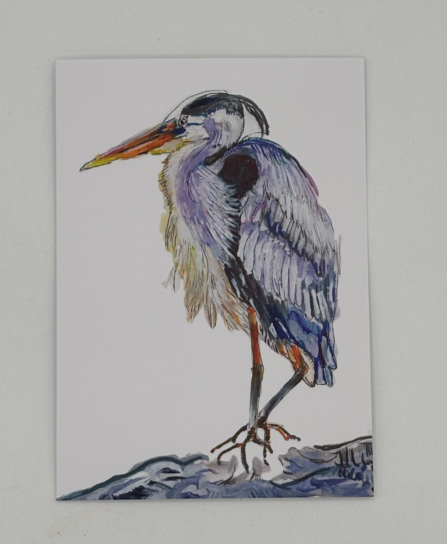 Great Blue Herron Card