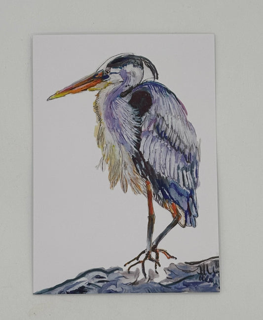 Great Blue Herron Card