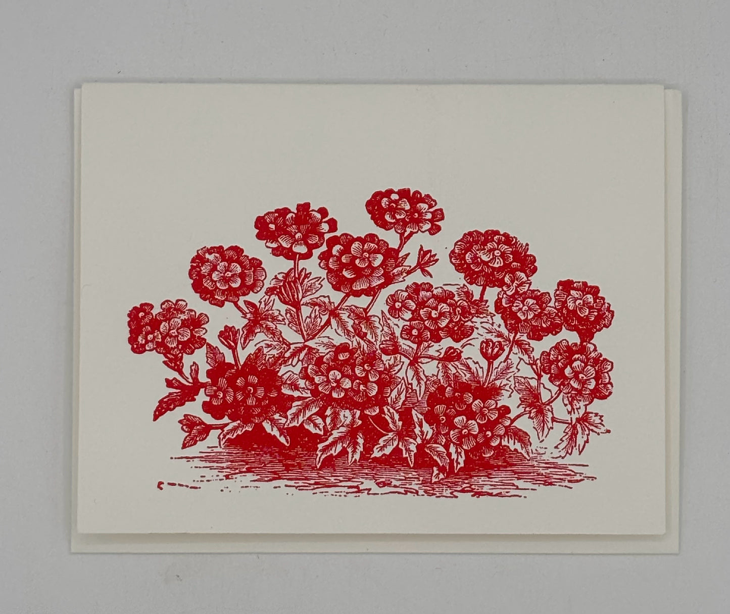 Red Geranium Card