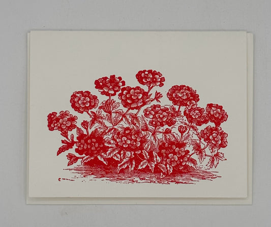 Red Geranium Card
